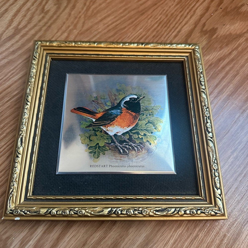 Vintage Gold Framed Bird Art